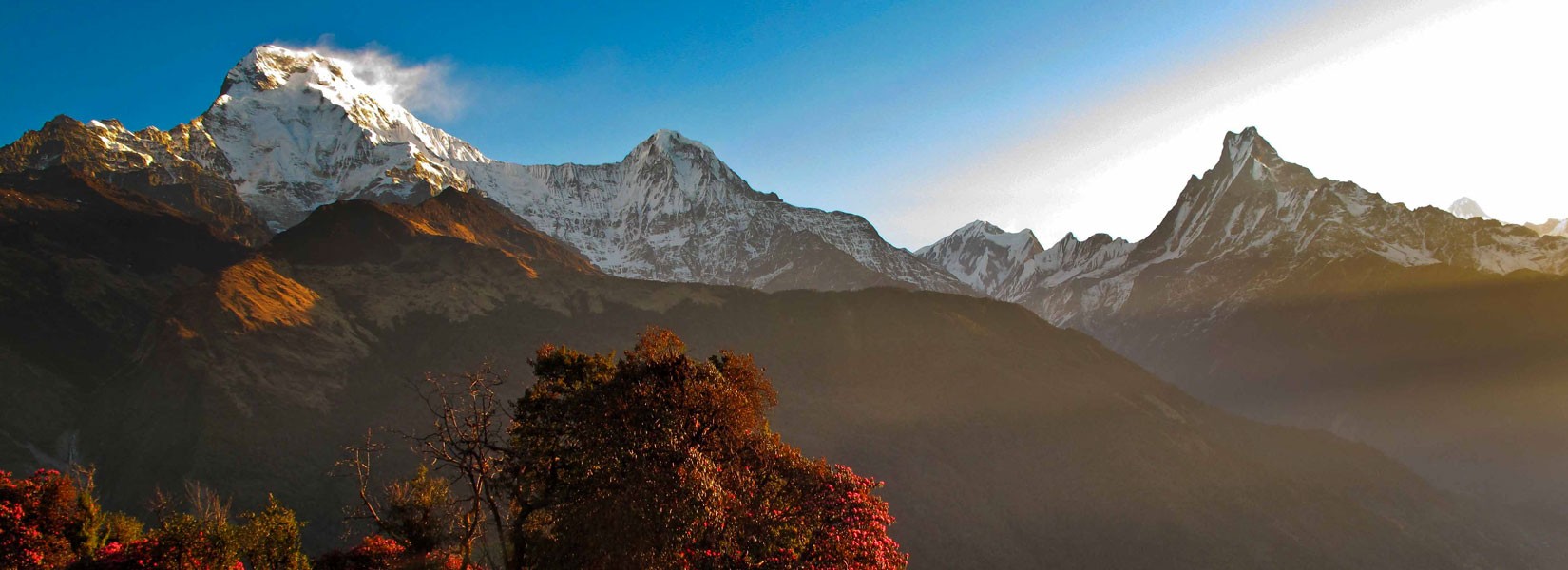 Ghorepani Poonhill Trek